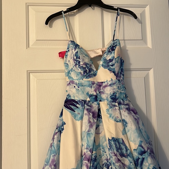 Gorgeous Madeline Gardner prom Dress Size 4 - Picture 14 of 16